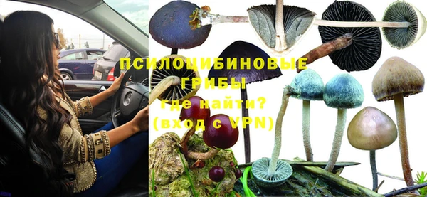 кокс Балабаново
